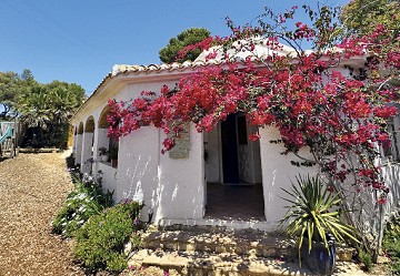 INTERNATIONAL WALDORF SCHOOL EL MONTGÓ