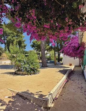 INTERNATIONAL WALDORF SCHOOL EL MONTGÓ