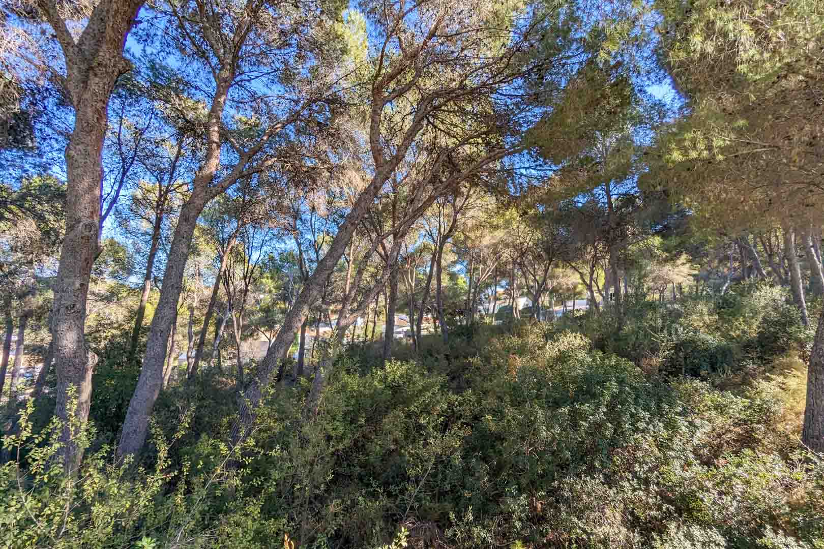 6 Dormitorios - Moraira — 6/18