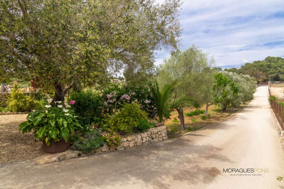 5 Dormitorios - Jávea - Xàbia — 3/21