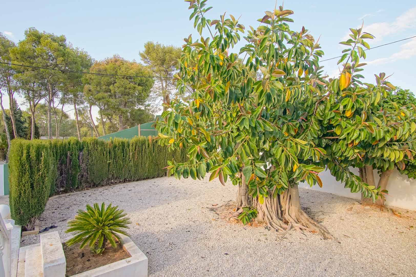 6 Dormitorios - Dénia — 45/50