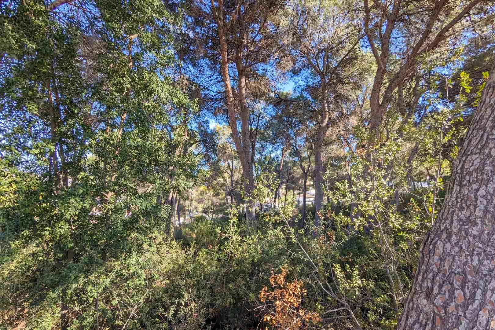 6 Dormitorios - Moraira — 4/18