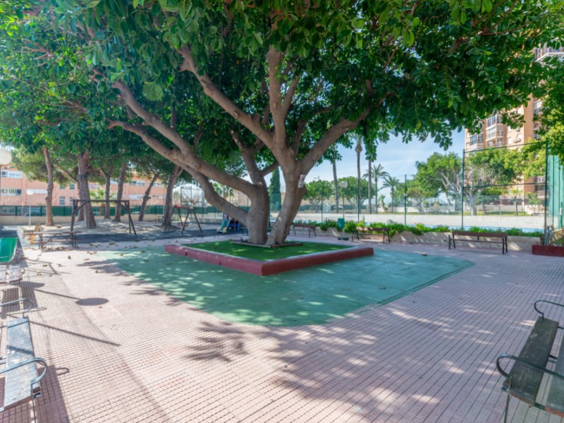 3 Spalni - El Campello — 29/38