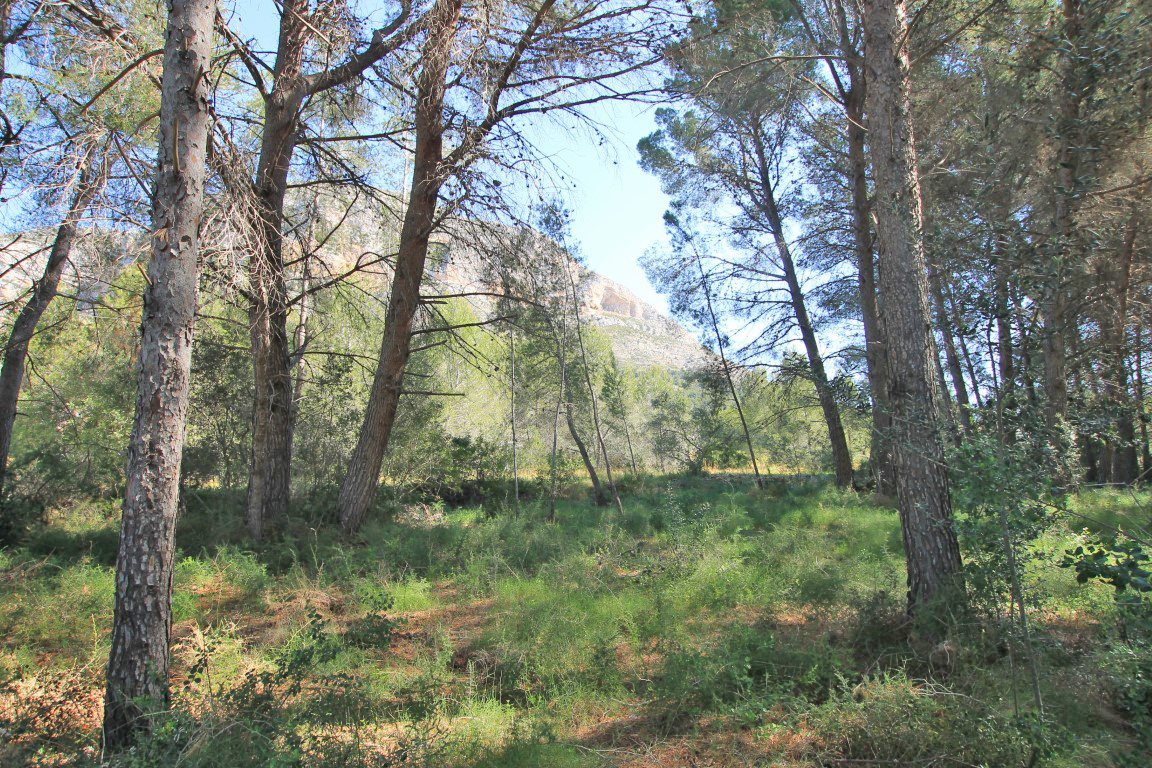 0 Dormitorios - Jávea — 3/4