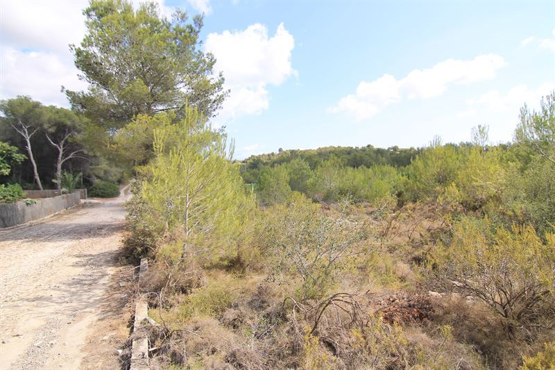 0 Dormitorios - Jávea - Xàbia — 3/4