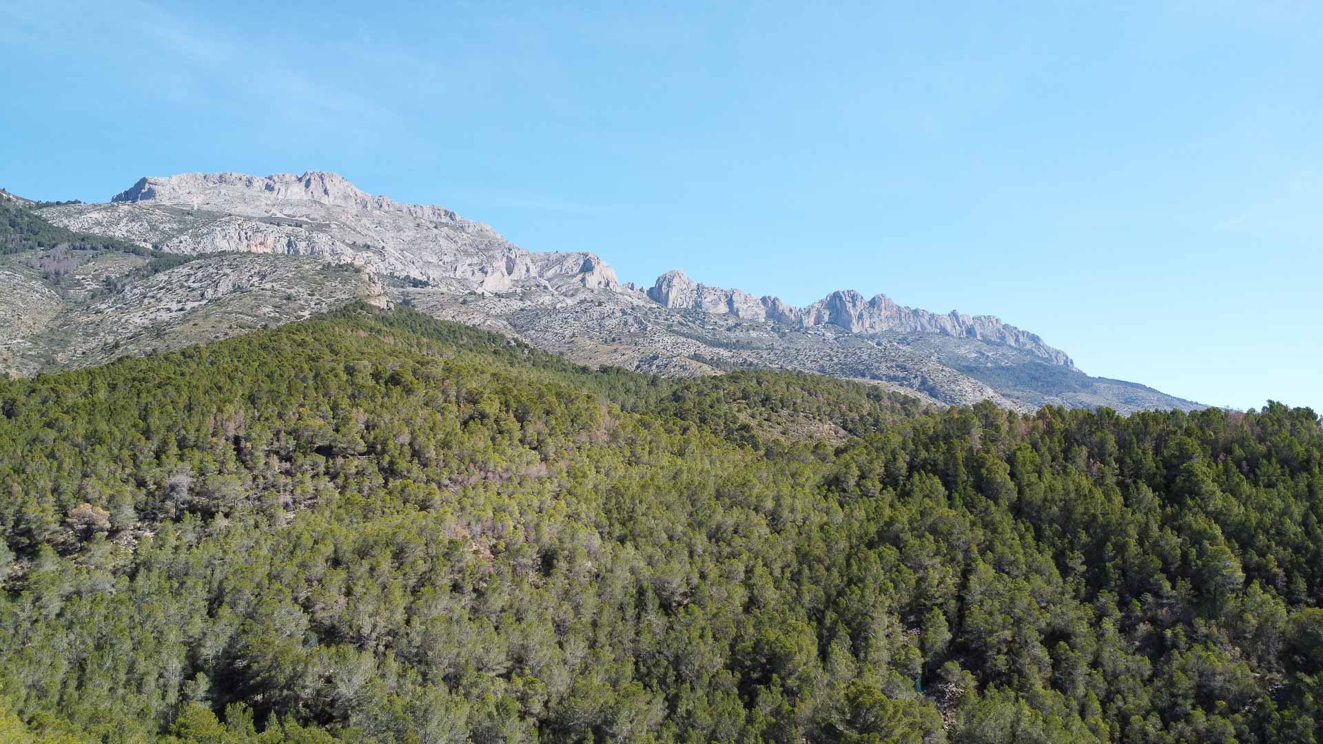 3 Dormitorios - Altea — 41/46