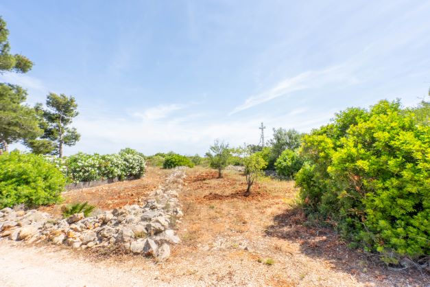 0 Spalni - Jávea — 8/11