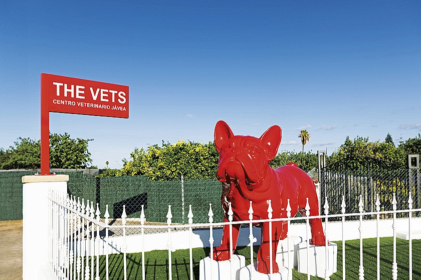 The Vets Jávea - Geavanceerde diergeneeskunde in een omgeving waar welzijn een levensstijl is