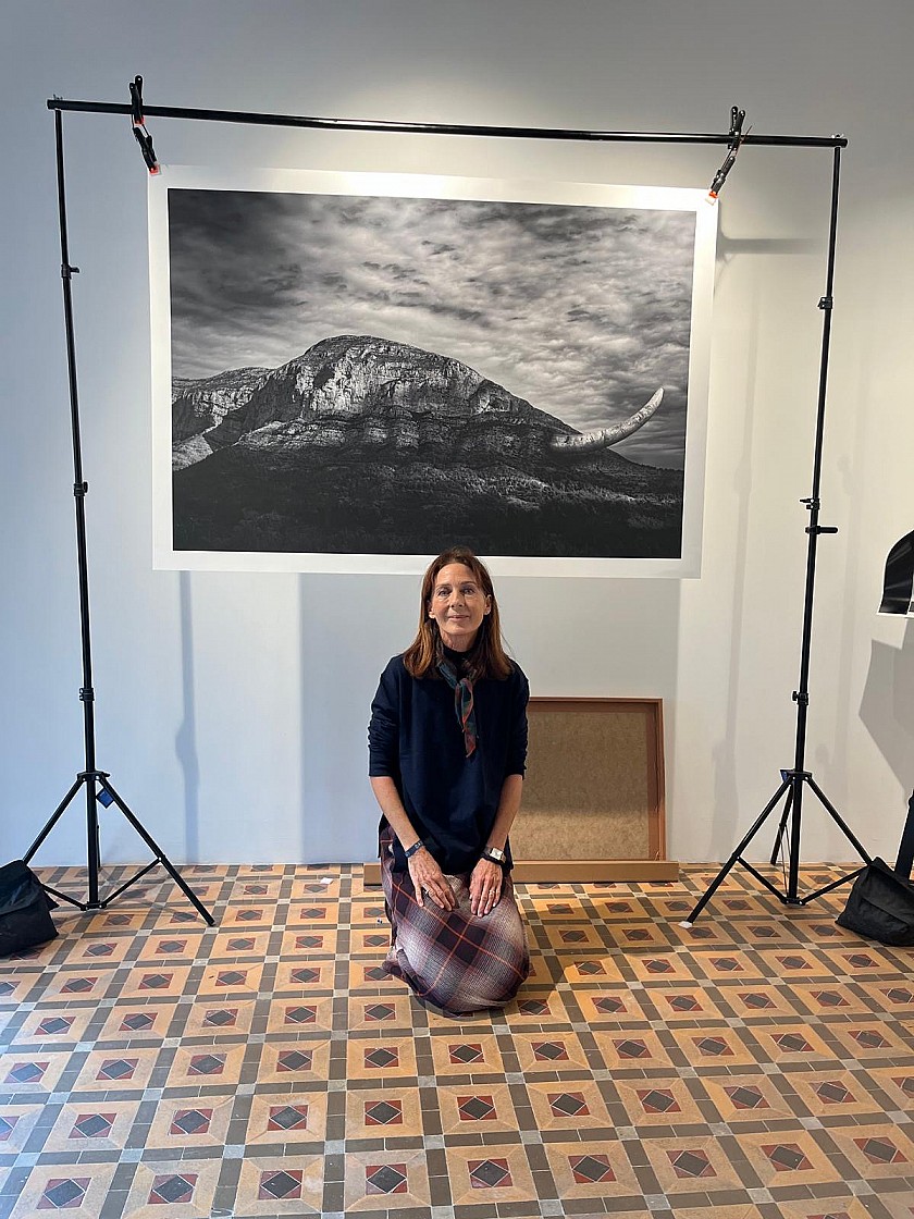 PFZ Gallery