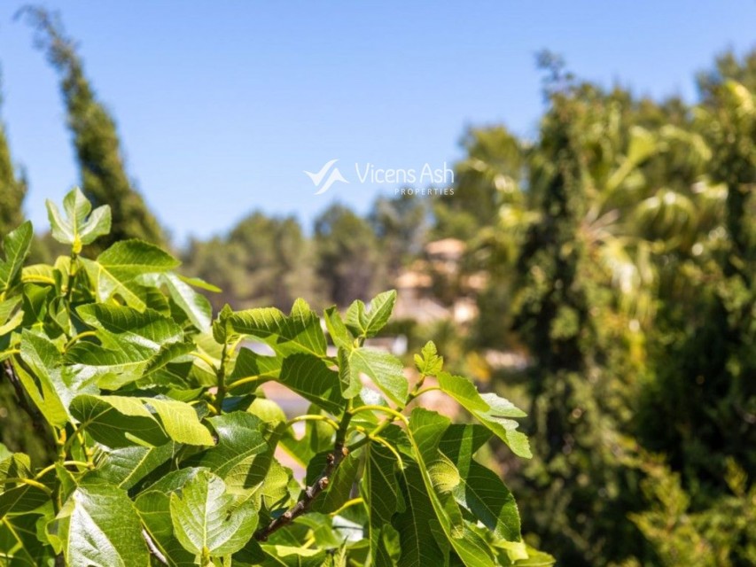 3 Dormitorios - Javea/Xabia — 7/40