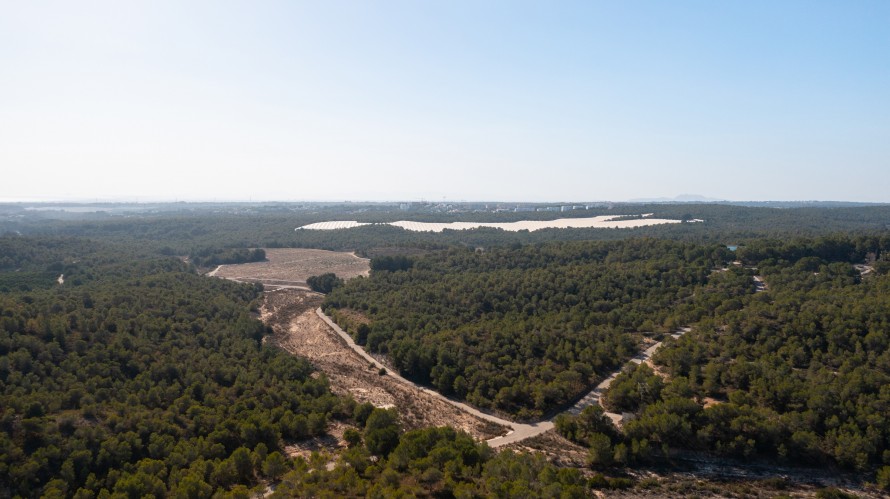 15 Dormitorios - Torrevieja — 39/40