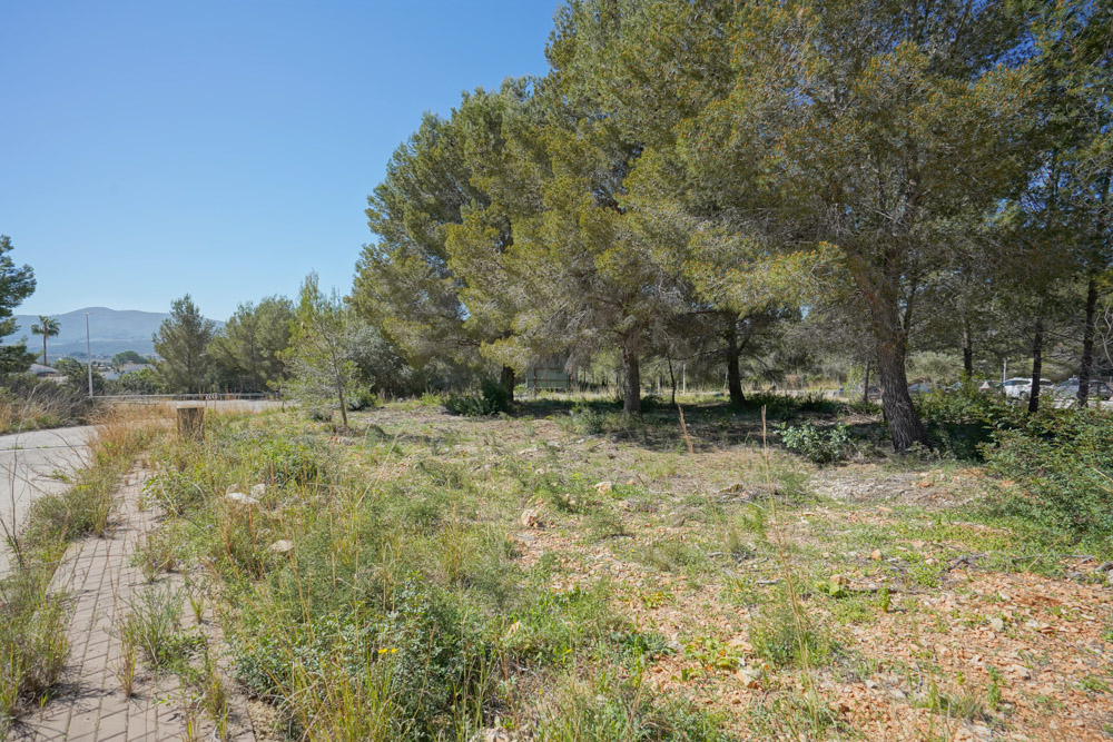 0 Spalni - Jávea — 3/5