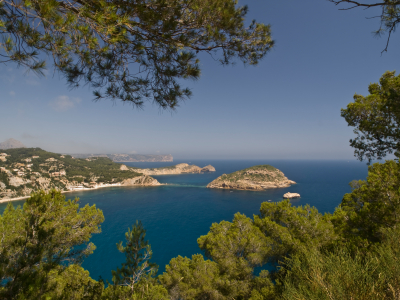 0 Dormitorios - Jávea — 12/15