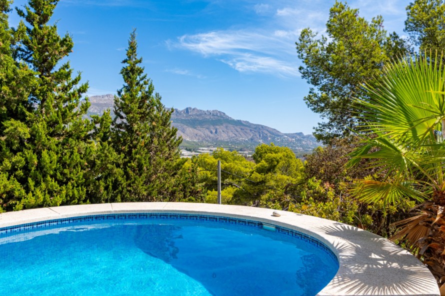 4 Bedrooms - La Nucia — 4/37