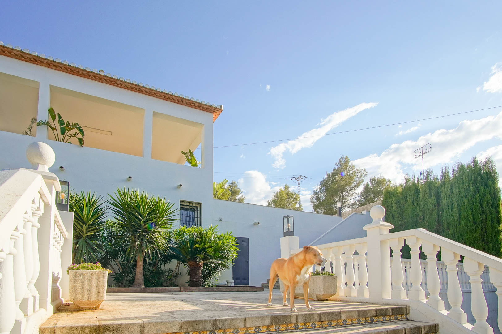 6 Dormitorios - Dénia — 37/50