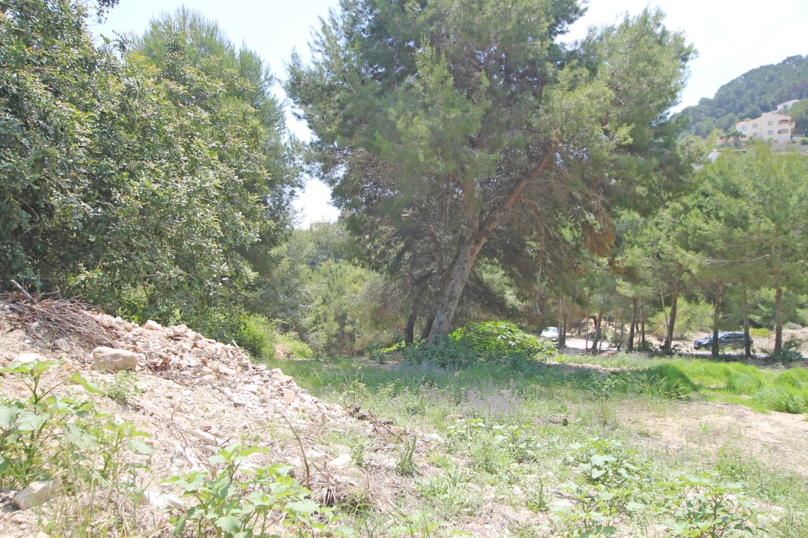 0 Dormitorios - Jávea — 4/4