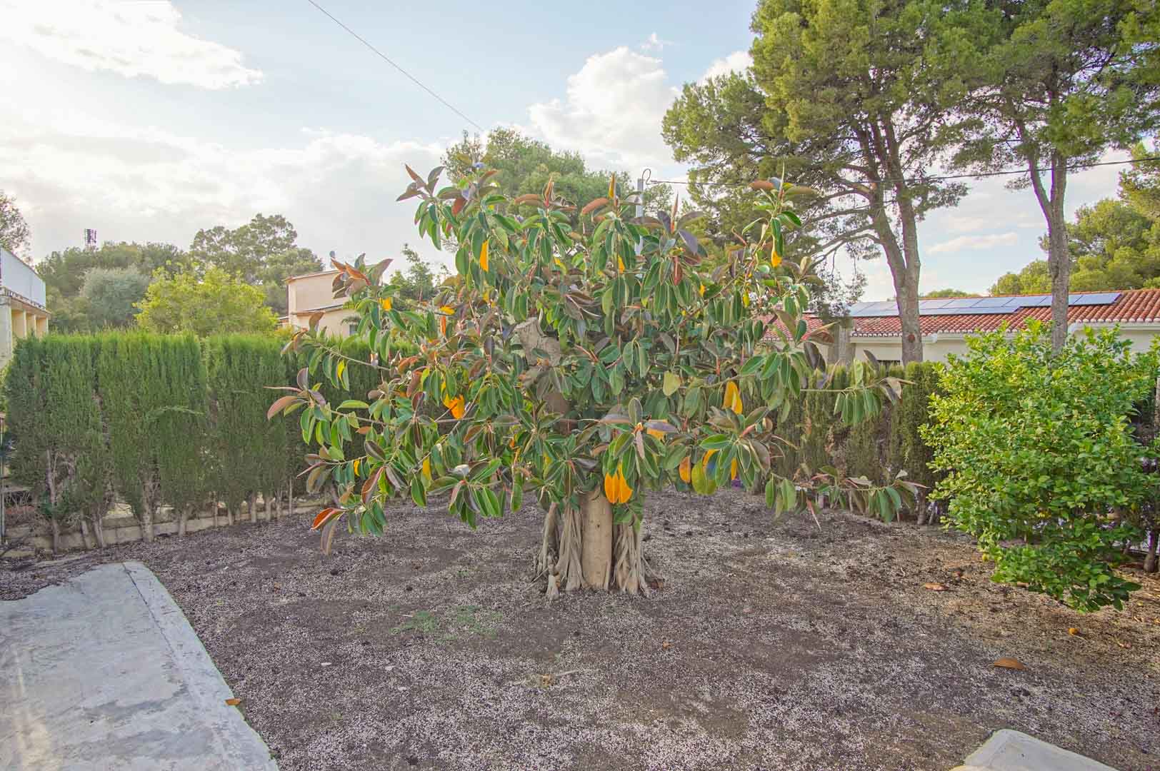 6 Dormitorios - Dénia — 44/50