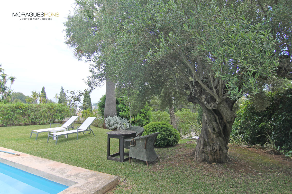 5 Dormitorios - Jávea - Xàbia — 3/33