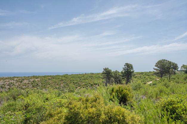 0 Spalni - Jávea — 11/11
