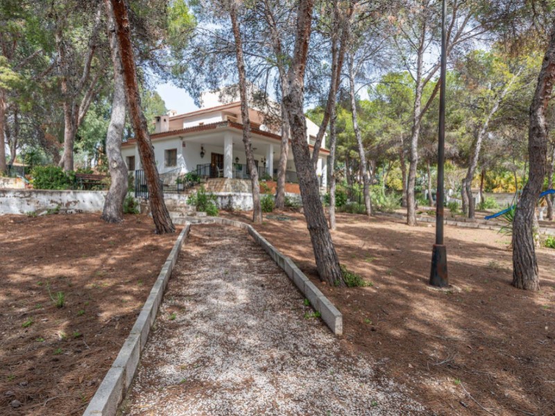 5 Schlafzimmer - Alicante / Alacant — 44/53